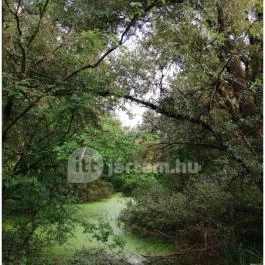 Teknős tanösvény, Dunakeszi - Egyéb