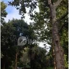 Teknős tanösvény Dunakeszi - Egyéb