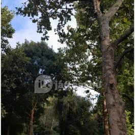 Teknős tanösvény, Dunakeszi - Egyéb