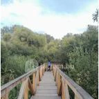 Teknős tanösvény Dunakeszi - Egyéb