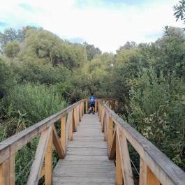 Teknős tanösvény, Dunakeszi - Egyéb