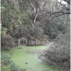 Teknős tanösvény Dunakeszi - Egyéb