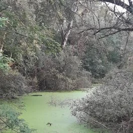 Teknős tanösvény, Dunakeszi - Egyéb
