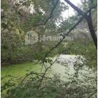 Teknős tanösvény Dunakeszi - Egyéb