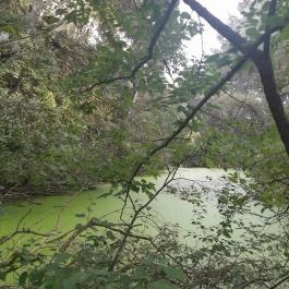 Teknős tanösvény, Dunakeszi - Egyéb