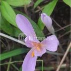 Teknős tanösvény Dunakeszi - Egyéb