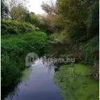 Teknős tanösvény Dunakeszi - Egyéb