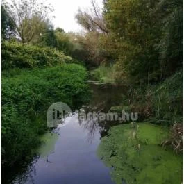 Teknős tanösvény, Dunakeszi - Egyéb