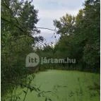 Teknős tanösvény Dunakeszi - Egyéb