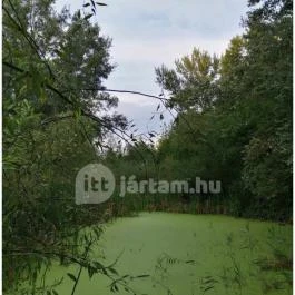 Teknős tanösvény, Dunakeszi - Egyéb