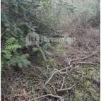 Teknős tanösvény Dunakeszi - Egyéb