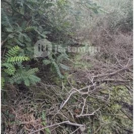 Teknős tanösvény, Dunakeszi - Egyéb