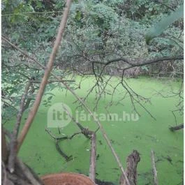 Teknős tanösvény, Dunakeszi - Egyéb