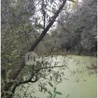 Teknős tanösvény Dunakeszi - Egyéb