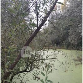 Teknős tanösvény, Dunakeszi - Egyéb