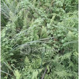 Teknős tanösvény, Dunakeszi - Egyéb