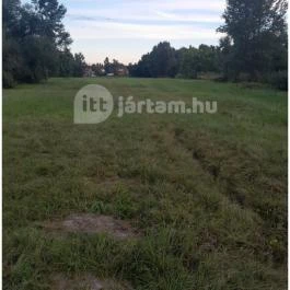 Teknős tanösvény, Dunakeszi - Egyéb