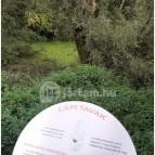 Teknős tanösvény Dunakeszi - Egyéb