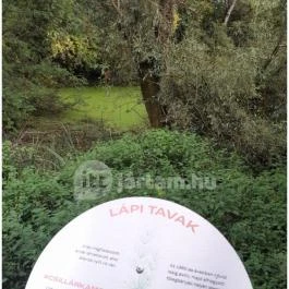 Teknős tanösvény, Dunakeszi - Egyéb