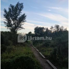 Teknős tanösvény, Dunakeszi - Egyéb