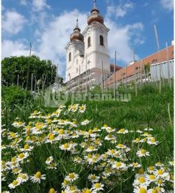 Tihanyi Bencés Apátság