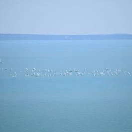 Tihanyi Bencés Apátság, Tihany - Egyéb