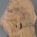 Memento Mori Vác - Egyéb