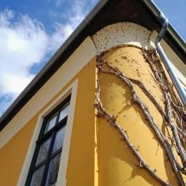 Vác belvárosa, Vác - Egyéb