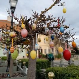 Vác belvárosa, Vác - Egyéb