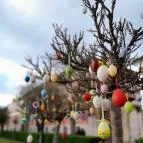 Vác belvárosa Vác - Egyéb