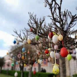 Vác belvárosa, Vác - Egyéb