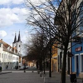 Vác belvárosa, Vác - Egyéb