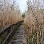 Váci Ártéri Tanösvény Vác - Egyéb