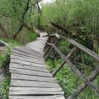 Váci Ártéri Tanösvény Vác - Egyéb