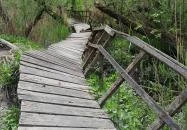 Váci Ártéri Tanösvény Vác