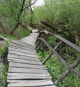 Váci Ártéri Tanösvény