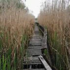 Váci Ártéri Tanösvény Vác - Egyéb