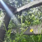 Váci Ártéri Tanösvény Vác - Egyéb