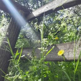 Váci Ártéri Tanösvény, Vác - Egyéb