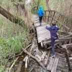 Váci Ártéri Tanösvény Vác - Egyéb