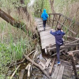 Váci Ártéri Tanösvény, Vác - Egyéb