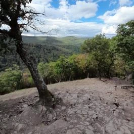 Vadálló-kövek, Dömös - Egyéb