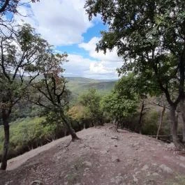 Vadálló-kövek, Dömös - Egyéb