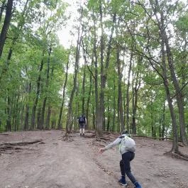 Vadálló-kövek, Dömös - Egyéb