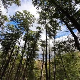 Vadálló-kövek, Dömös - Egyéb