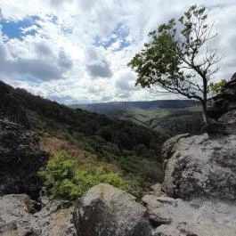 Vadálló-kövek, Dömös - Egyéb