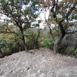 Vadálló-kövek, Dömös - Egyéb