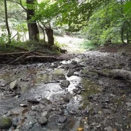 Vadálló-kövek, Dömös - Egyéb