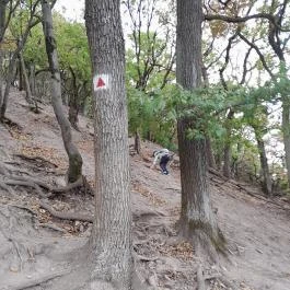 Vadálló-kövek, Dömös - Egyéb