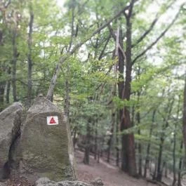 Vadálló-kövek, Dömös - Egyéb